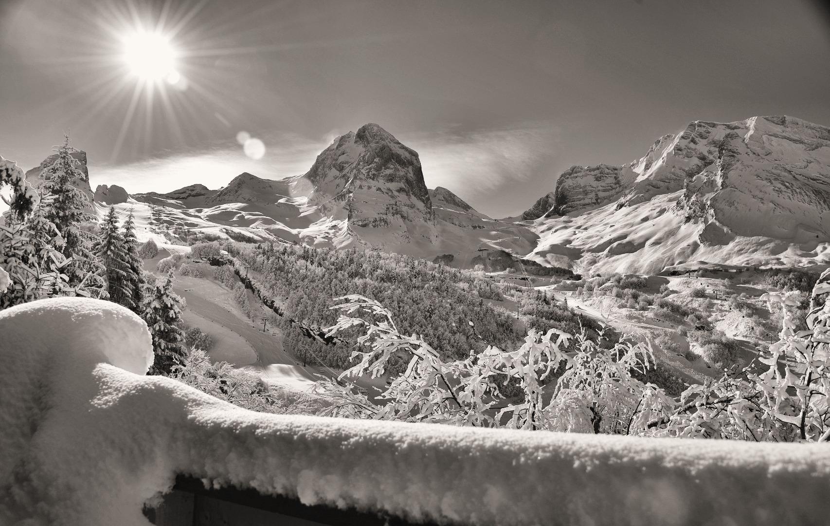 Vue depuis le balcon du chalet un jour de bel enneigement.