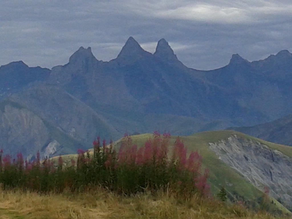 Les Aiguille d'Arves avant l'orage, majestueuses avec en 1er plan les magnifiques Epilobes (ou Laurier de Saint Antoine), plantes caractéristiques de nos montagnes