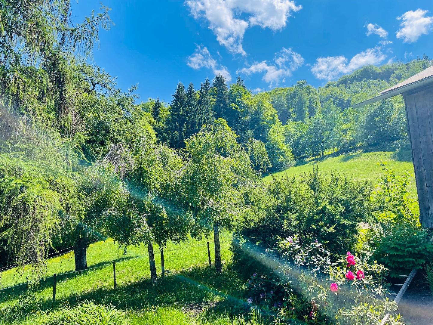 Le jardin