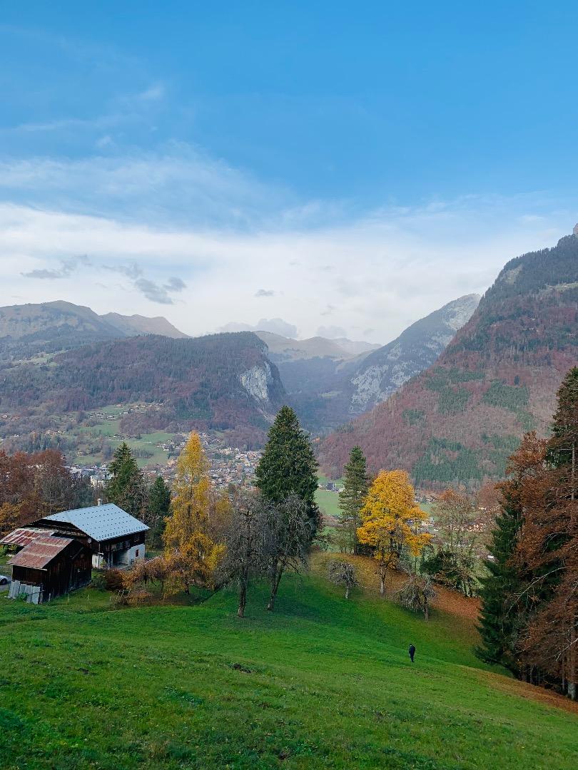 vue générale