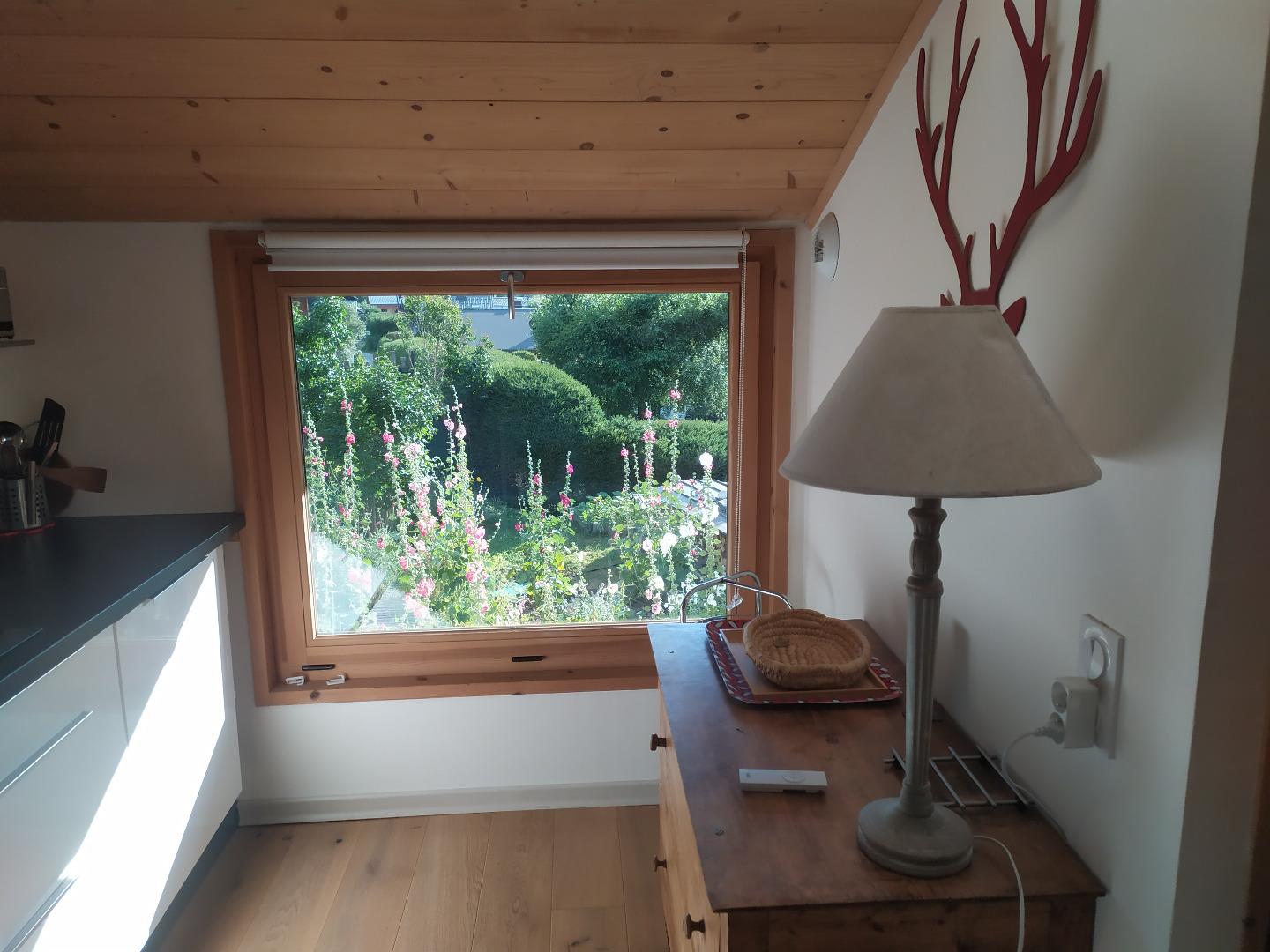 vue sur le potager