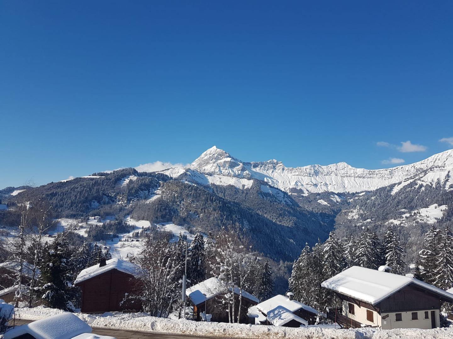 Vue du chalet en hiver