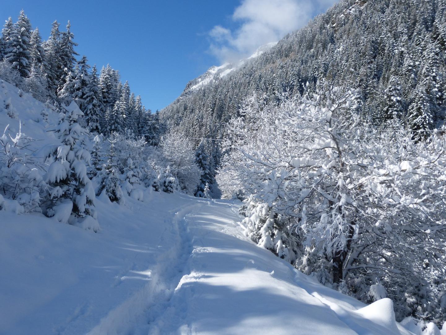 Piste du Jeu