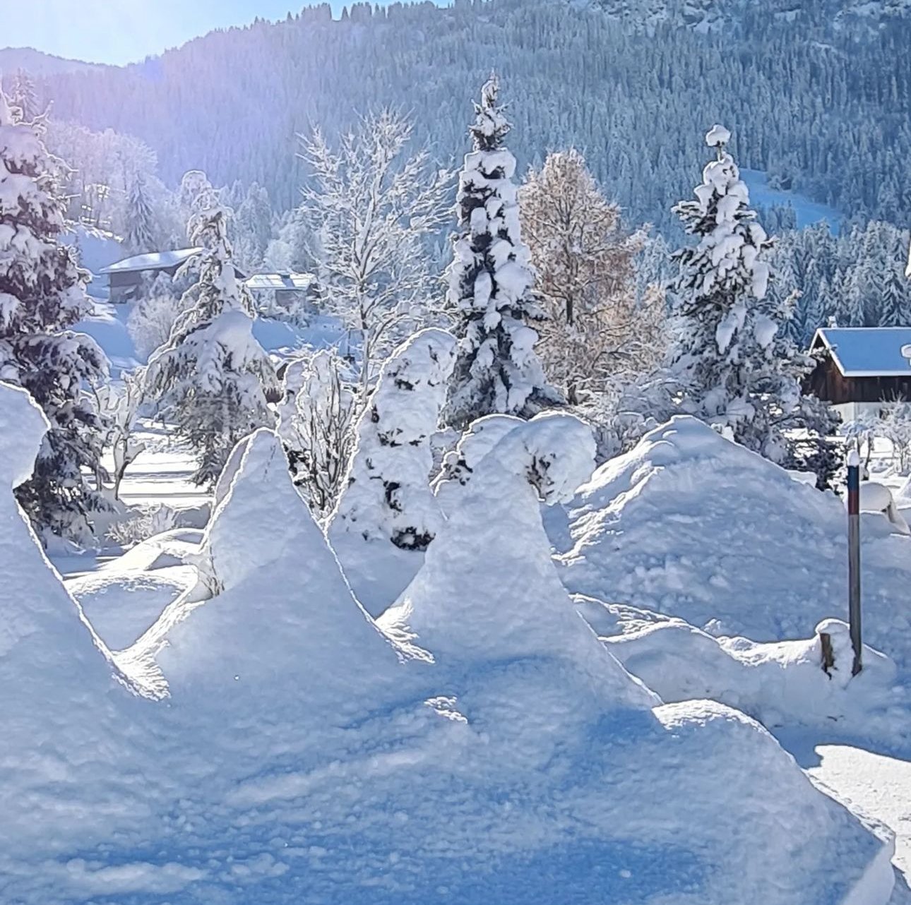 Jardin du chalet sous la neige