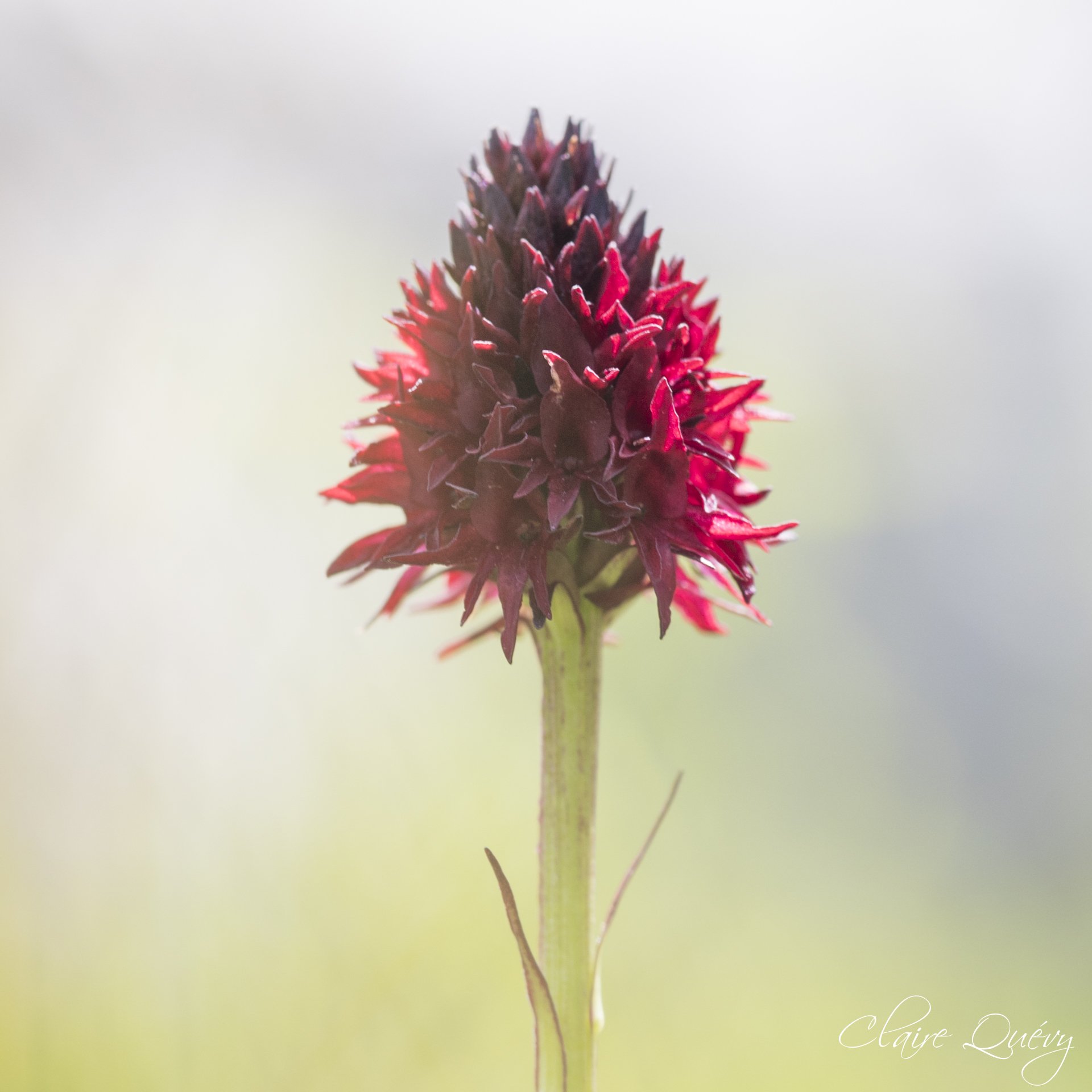 Photo location 27473