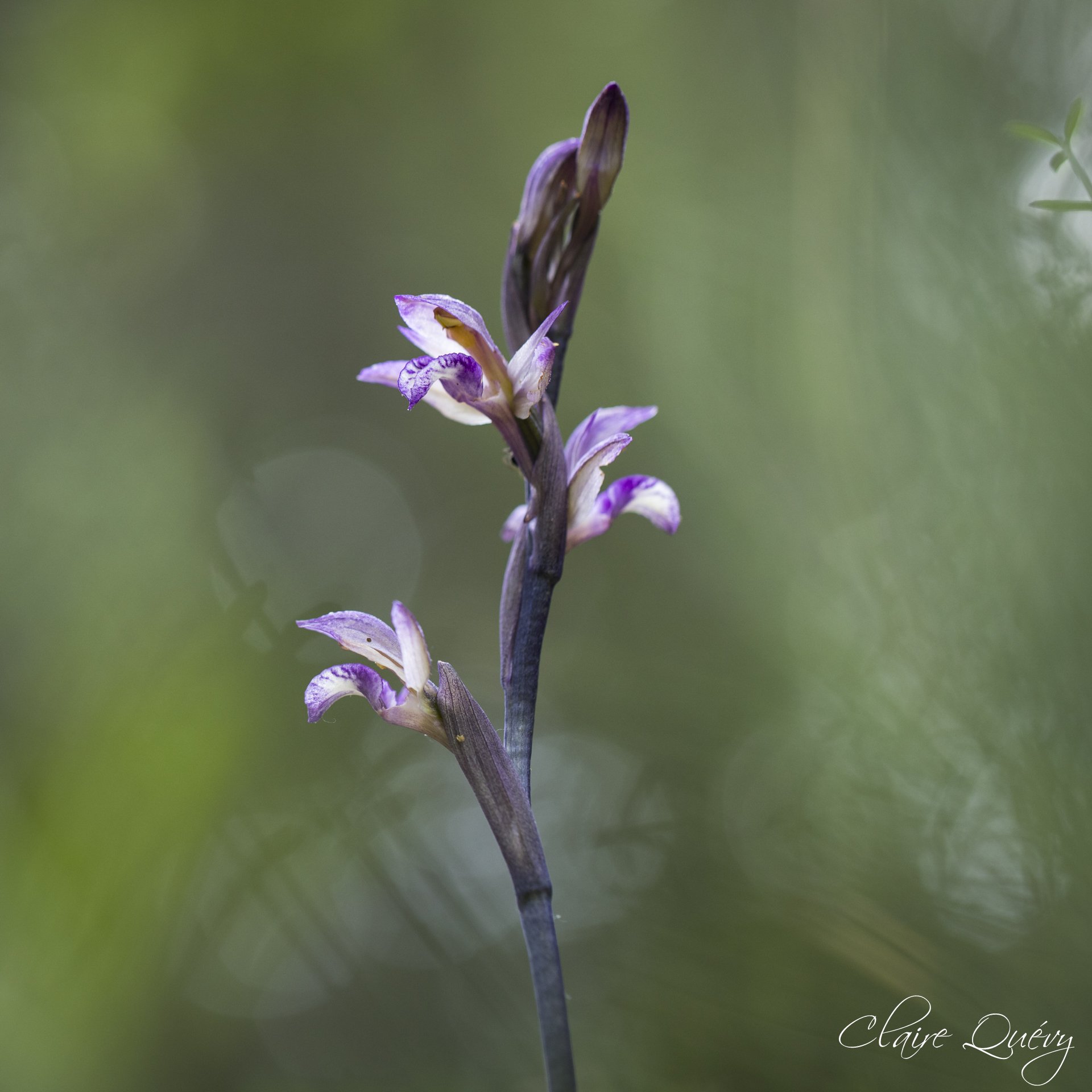 Photo location 27473