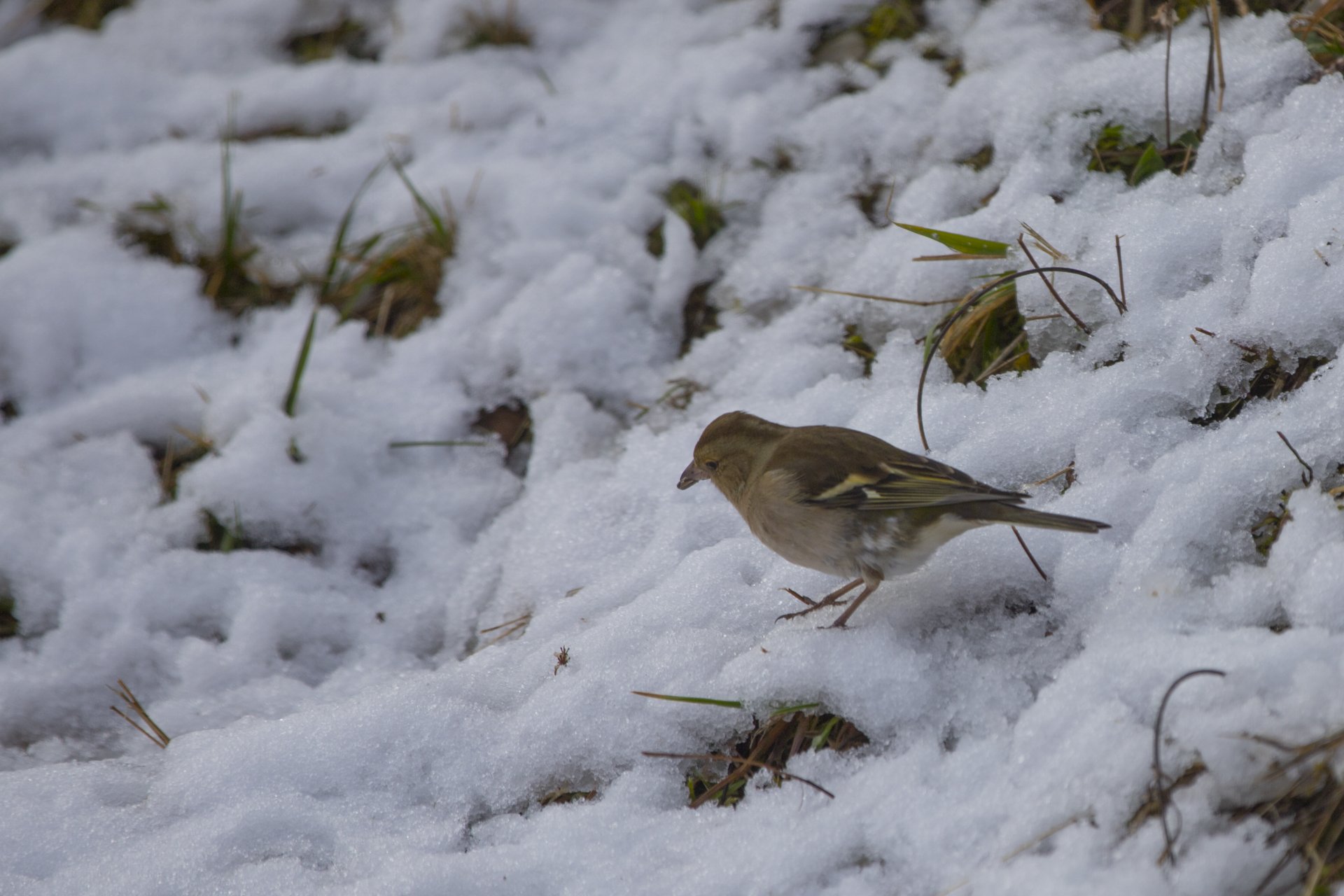 Photo location 27473