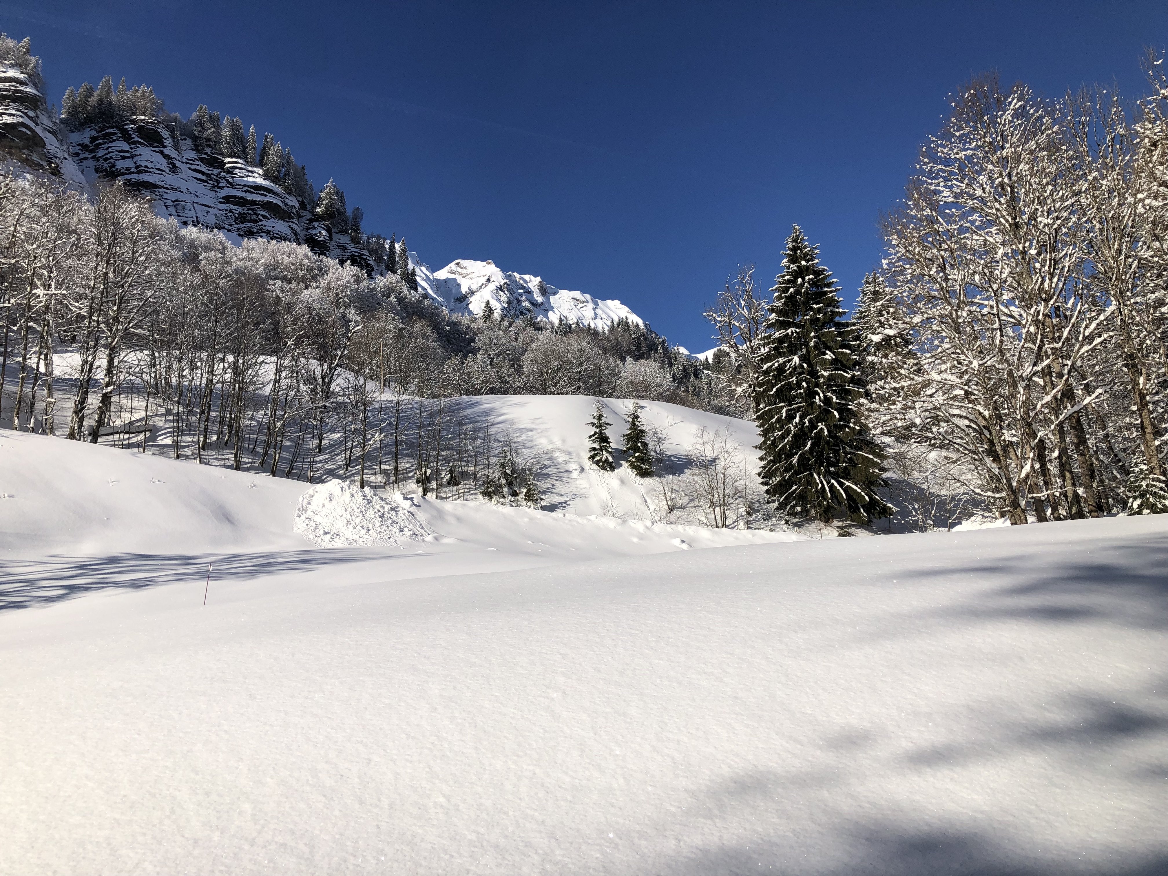 VUE SUR LES FALAISES ET LES MONTAGNES DU BORD DU TORRENT EN CONTREBAS DU CHALET