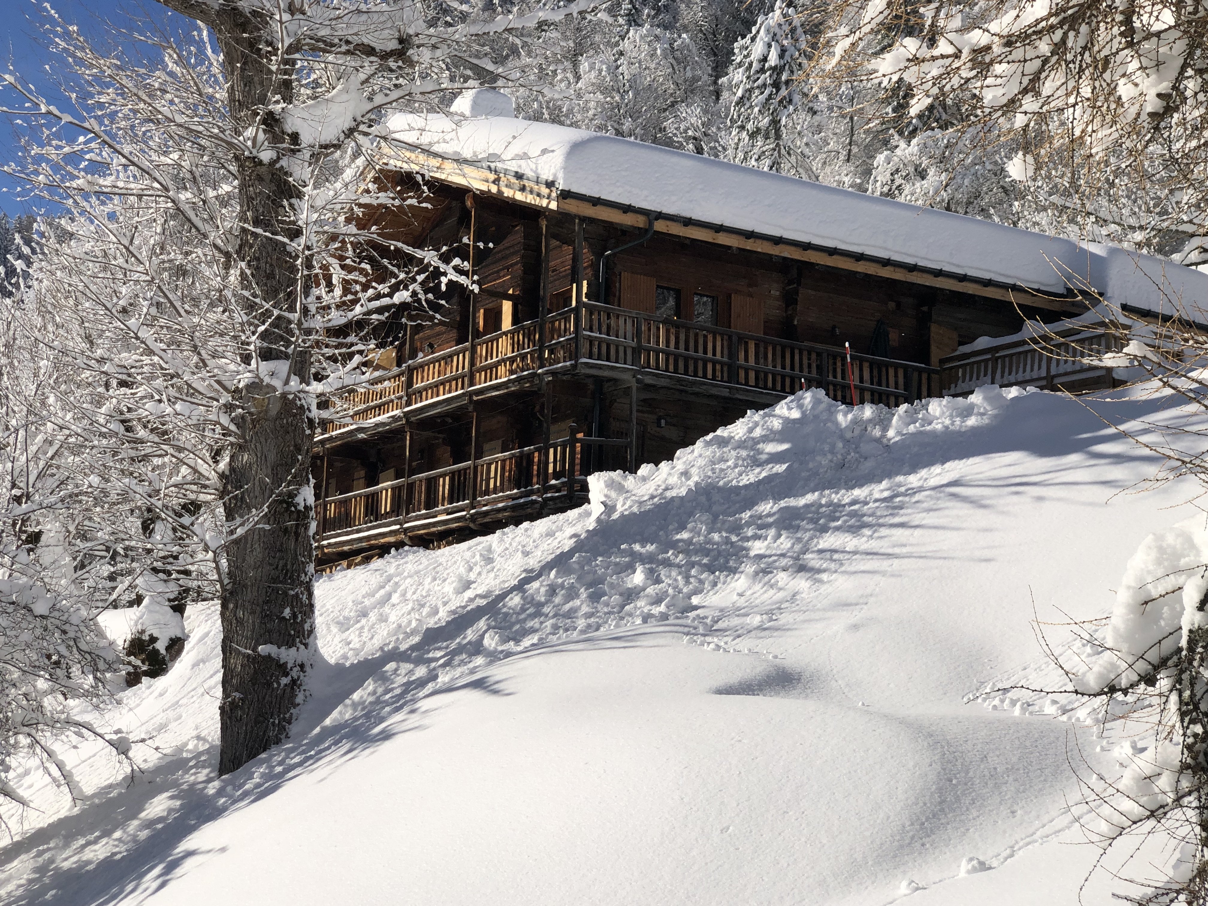 VUE SUR LE CHALET DU CHEMIN D’ARRIVÉE  - JANVIER 2026   