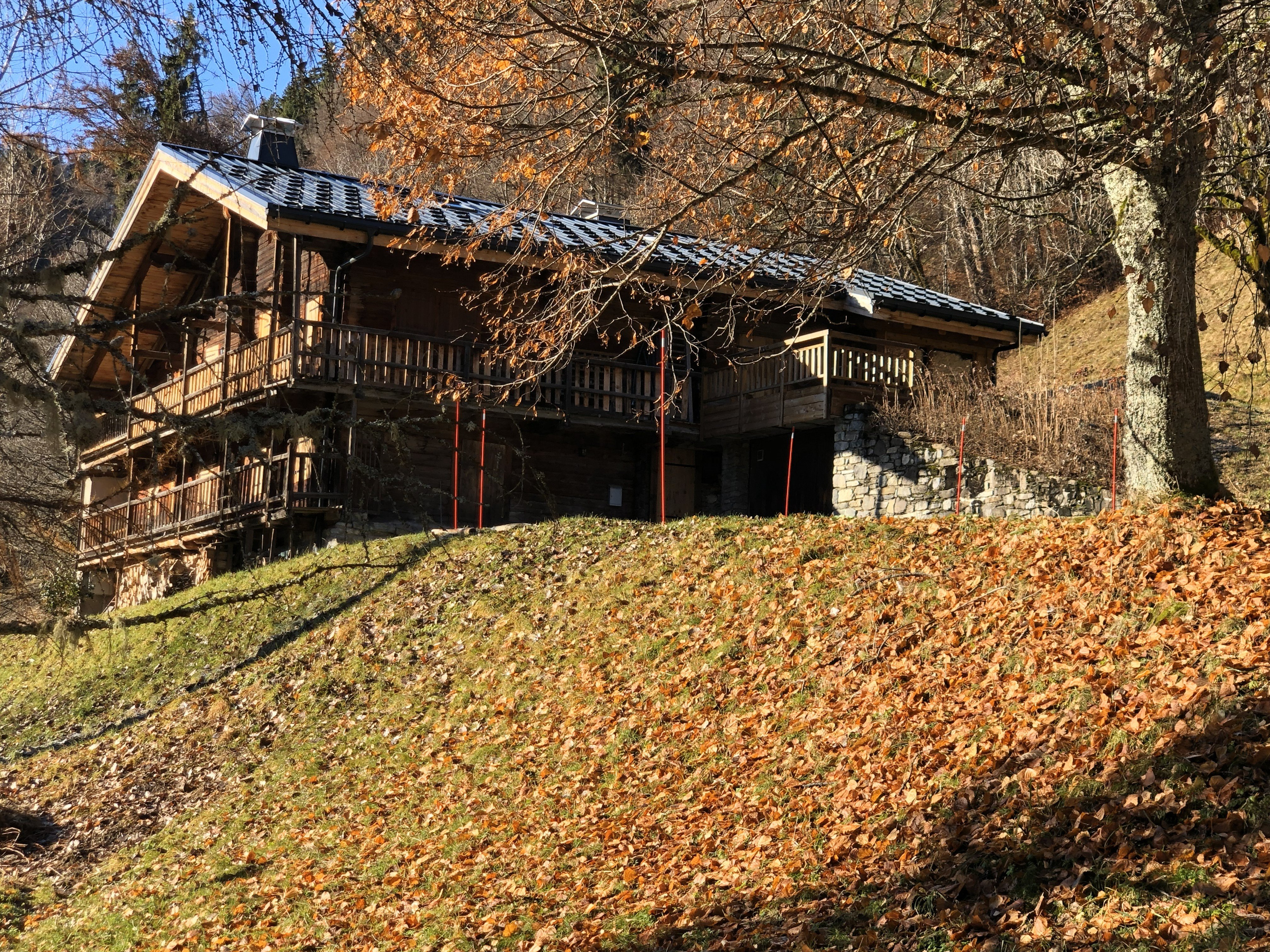 VUE SUR LE  CHALET, DU CHEMIN D’ARRIVÉE - AUTOMNE 2025 