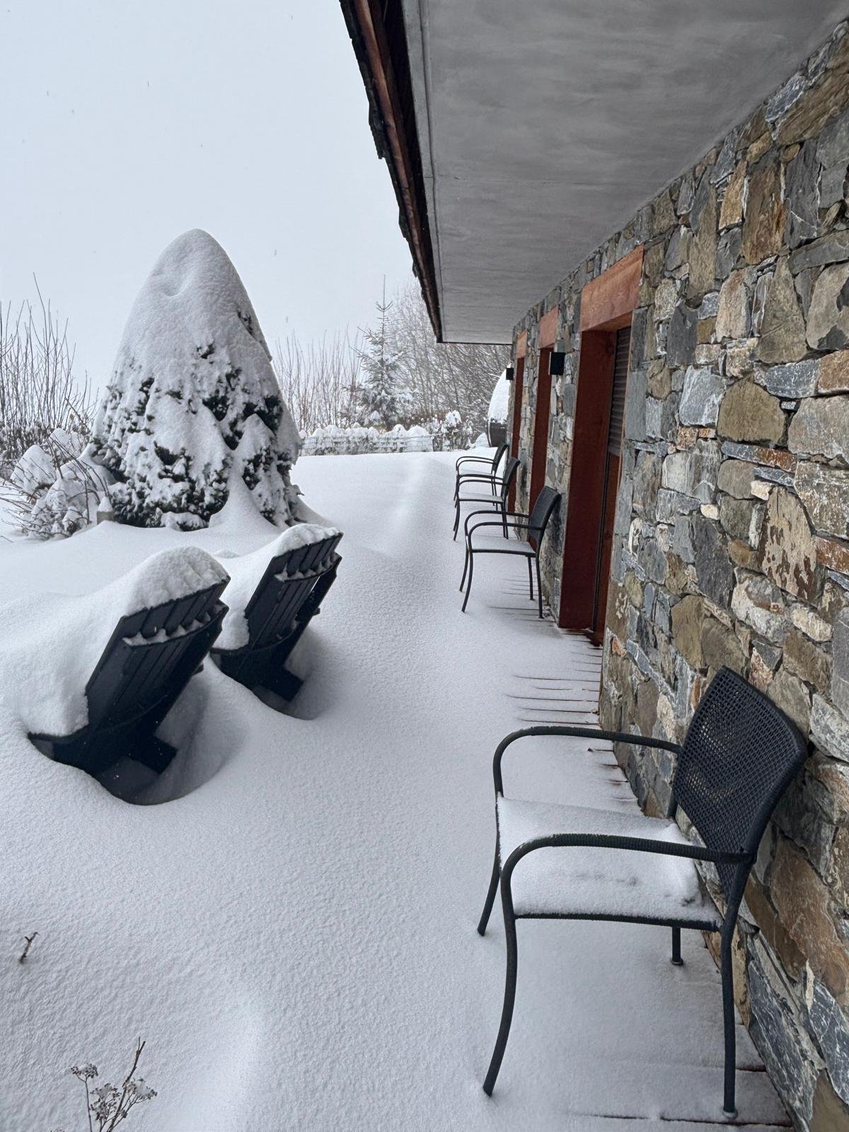 Terrasse en rez de jardin