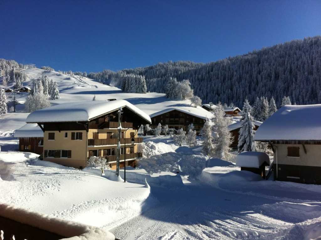 CHALET LE MELEZE - LE CERNIX - STATION CREST-VOLAND/COHENNOZ