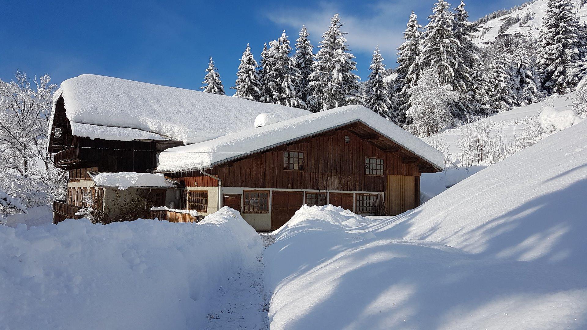 voici l'écurie des anes pour la saison d'hiver.