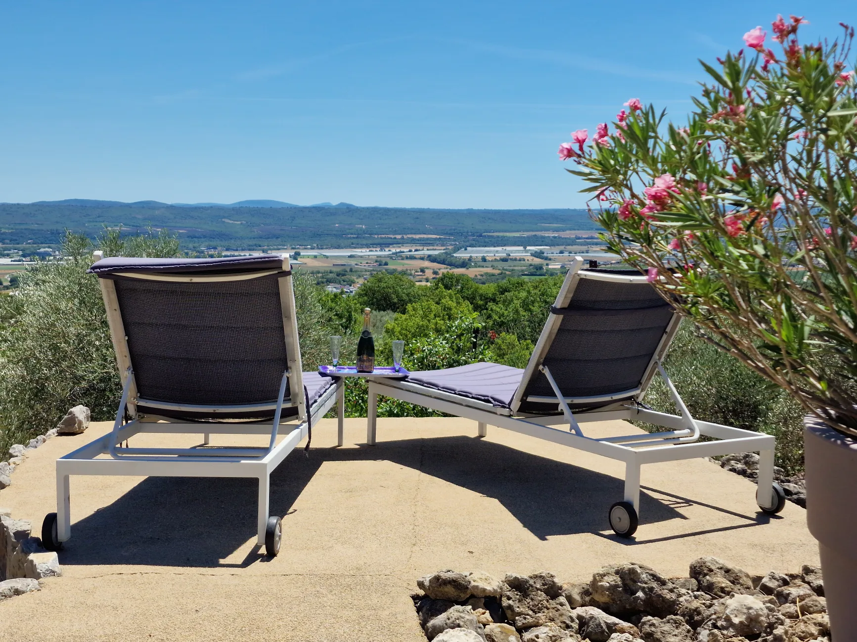 Terrasse de la piscine  en immersion totale dans l'oliveraie avec vue panoramique sans voisin