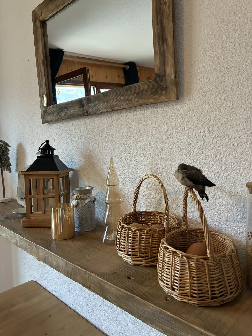 Notre petit piou qui s’est installé sur la déco
