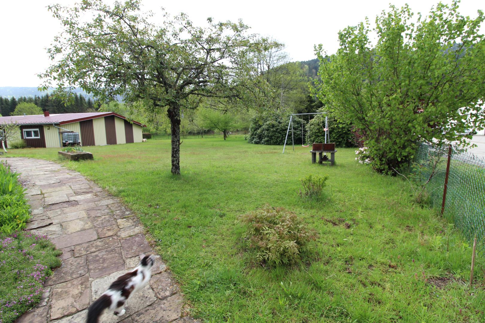 accès pelouse avec ("skate" la minette de la maison)