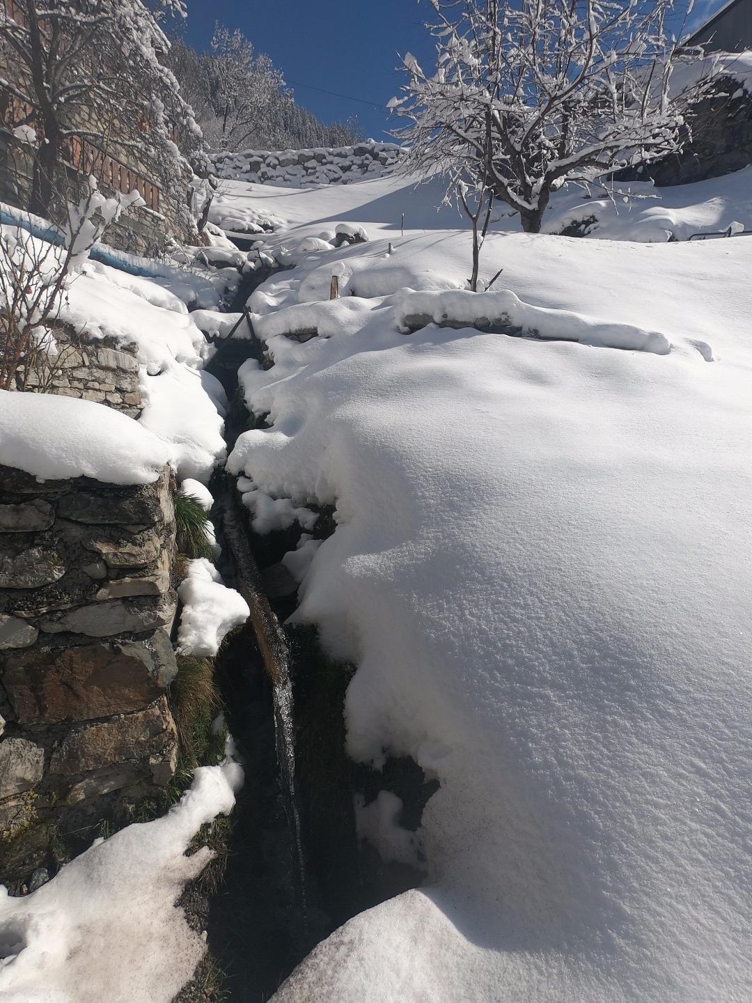 Le petit ruisseau au fond de la terrasse