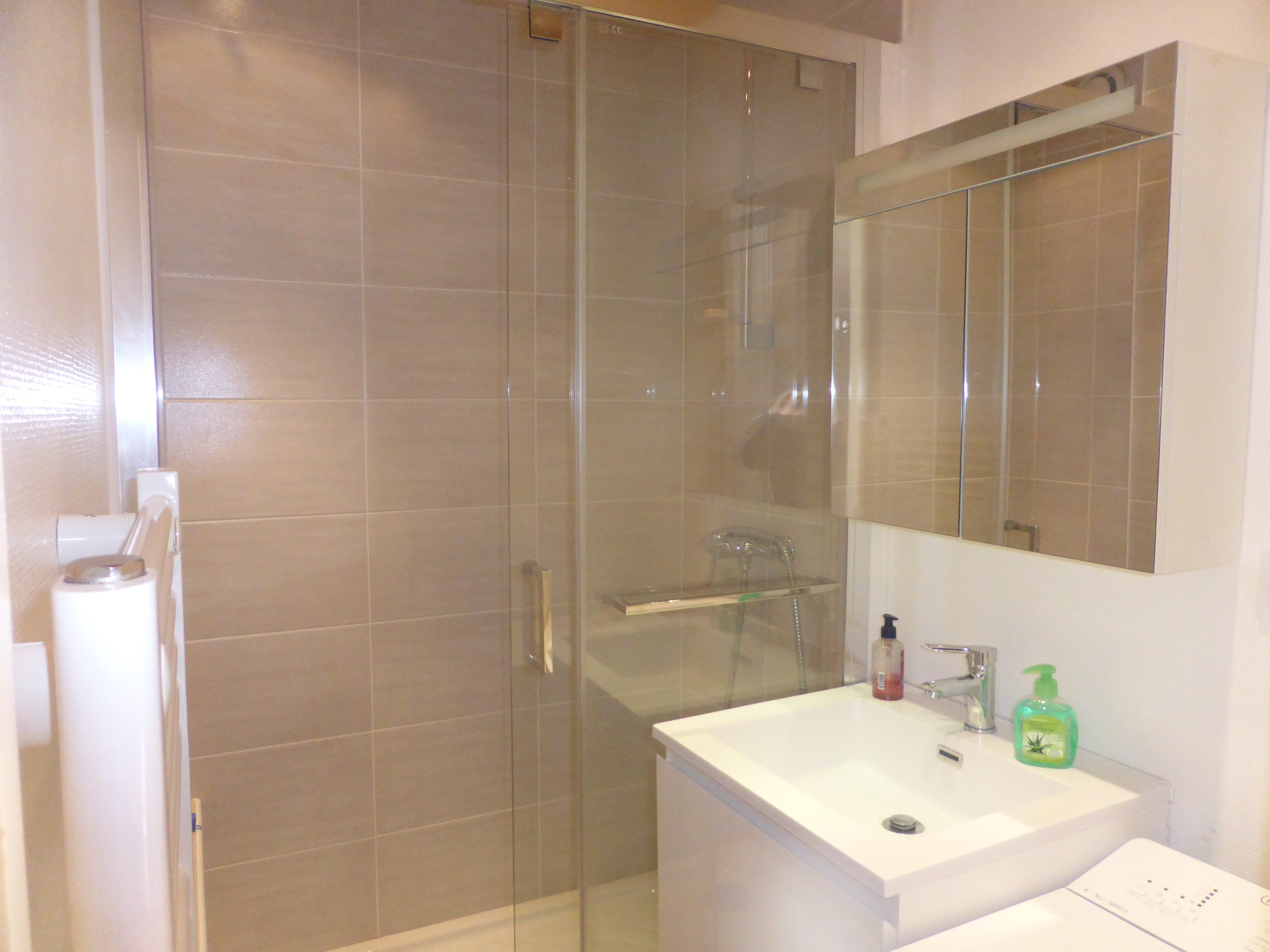 Salle de bains : Douche/Evier/Lave linges