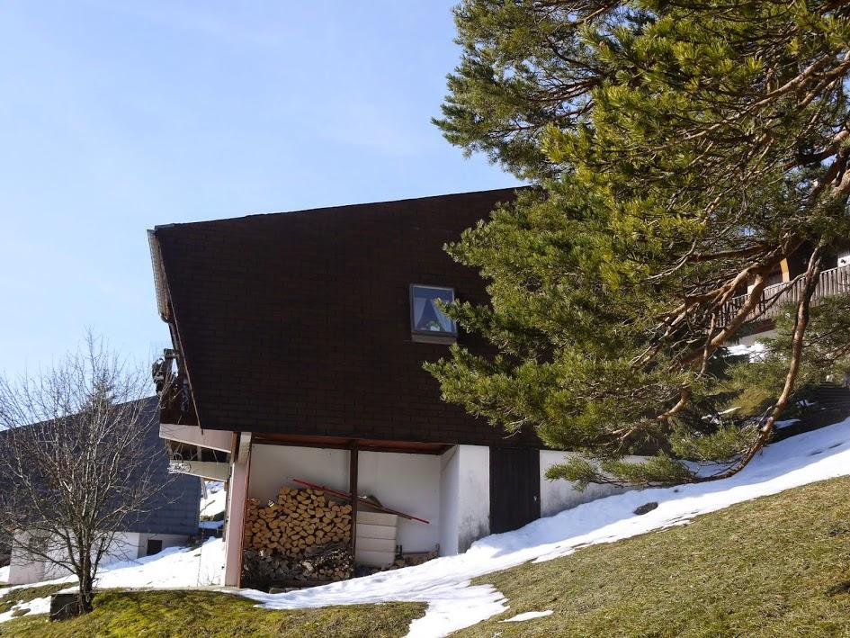  Chalet, côté forêt ,petite fenêtre de la cuisine,au dessus du local à skis