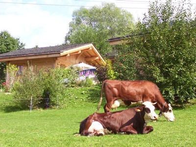 Vous êtes au calme au pays du MONT BLANC