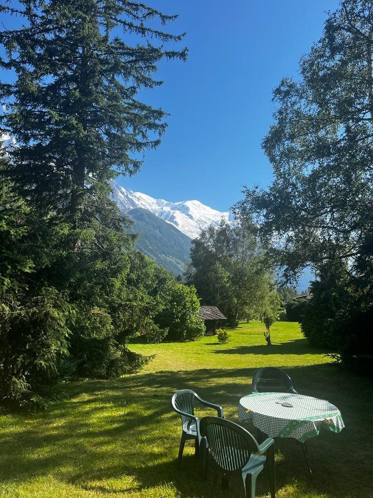 Terrasse vue sur le mont blanc