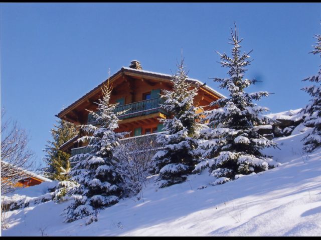 Le chalet est situé sur un beau jardin et sans aucun vis-à-vis