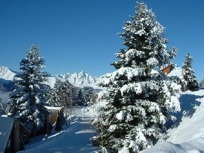 Guzet en Pyrénées ariégeoises , très beau panorama, calme, ski hiver -
40km de pistes de ski de tous niveaux et plus de 110 canons à neige
Ecole de ski, face à la résidence des Clarines
Hiver : garderie à proximité
