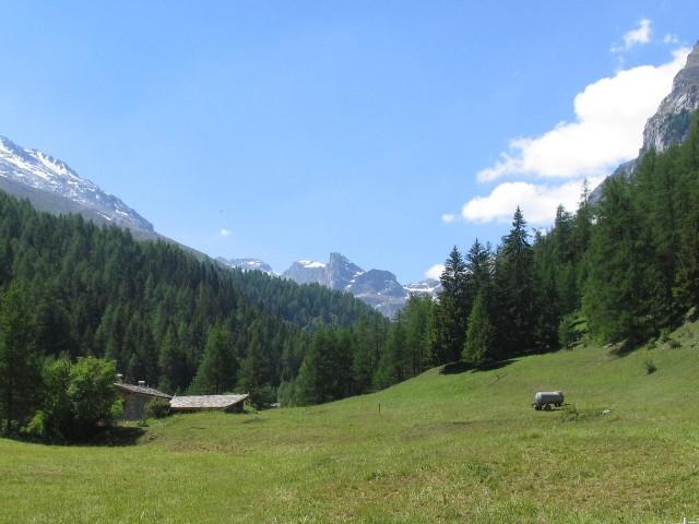 Superbe vue vers le sud (depuis le terrain)