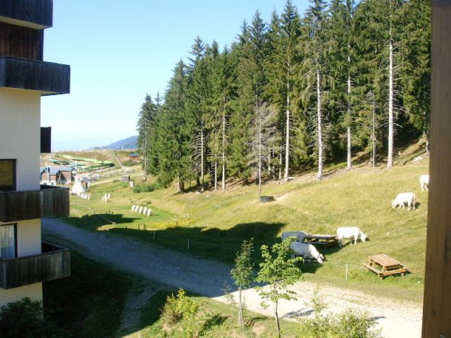 le cabri 1