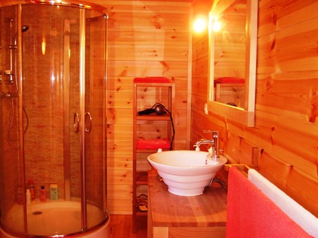 Salle de douche , lavabo + wc 1er étage