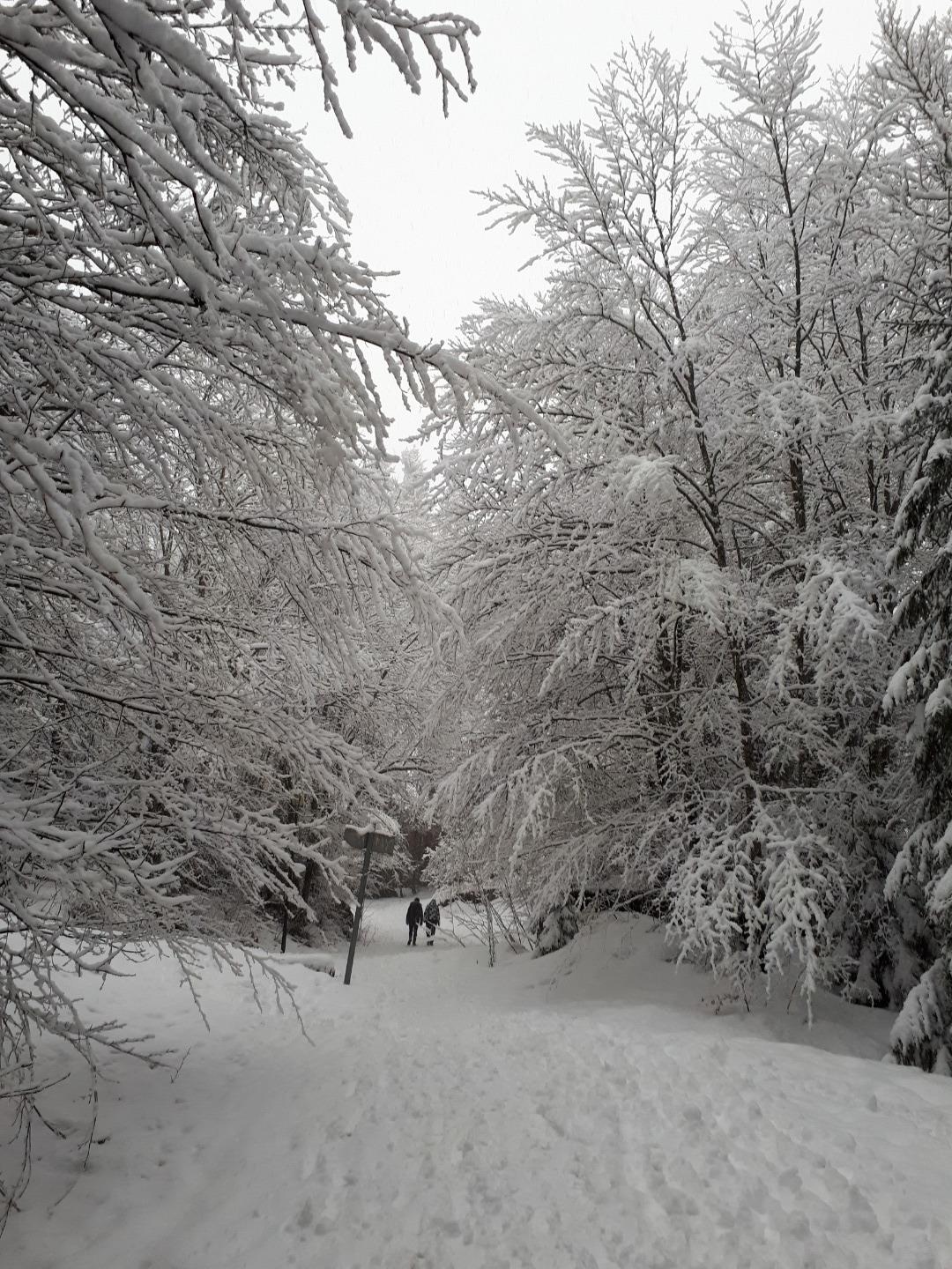 Chemin piétonnier sous la neige entre résidence et centre (200m)