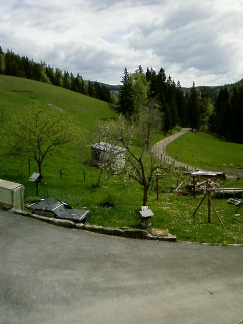 Tranquilité de la campagne, bien desservie par la route, proximité du Centre du Village-Station Les Rousses, 2,5km.