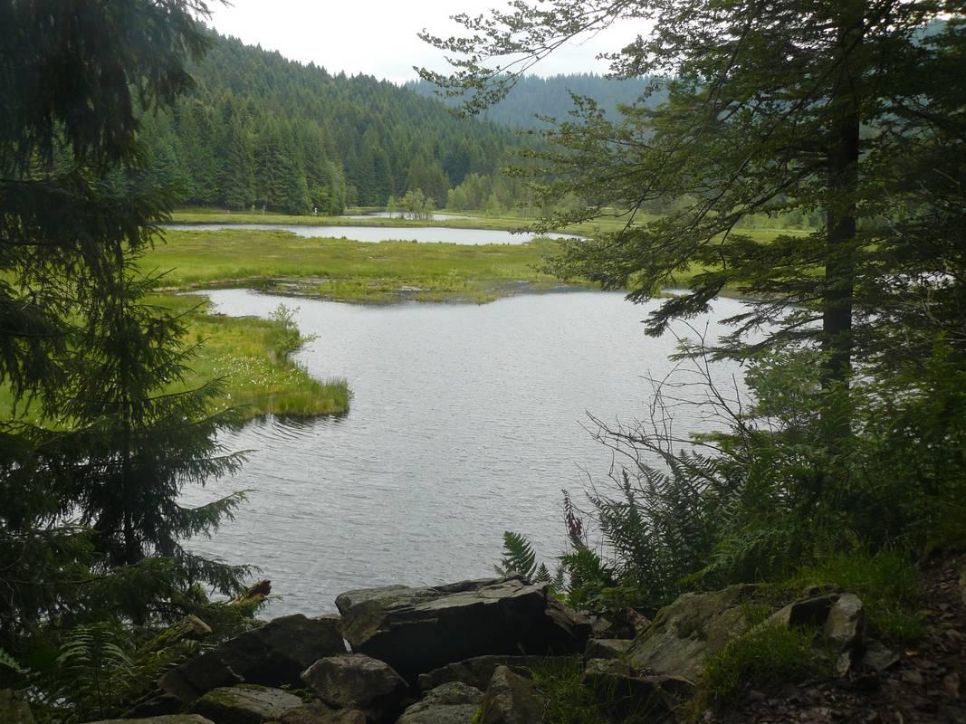 Lac de Lispach dans la vallée du Chajoux à La Bresse. La végétation gagne petit à petit. Intéressant d'en faire le tour en moins d'une heure, sentier très bien aménagé.