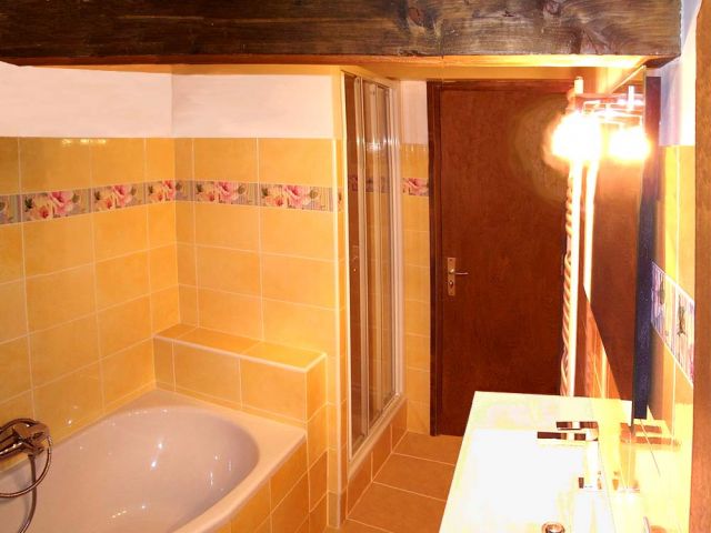 1ère Salle d'eau : Bain + douche + lavabo.