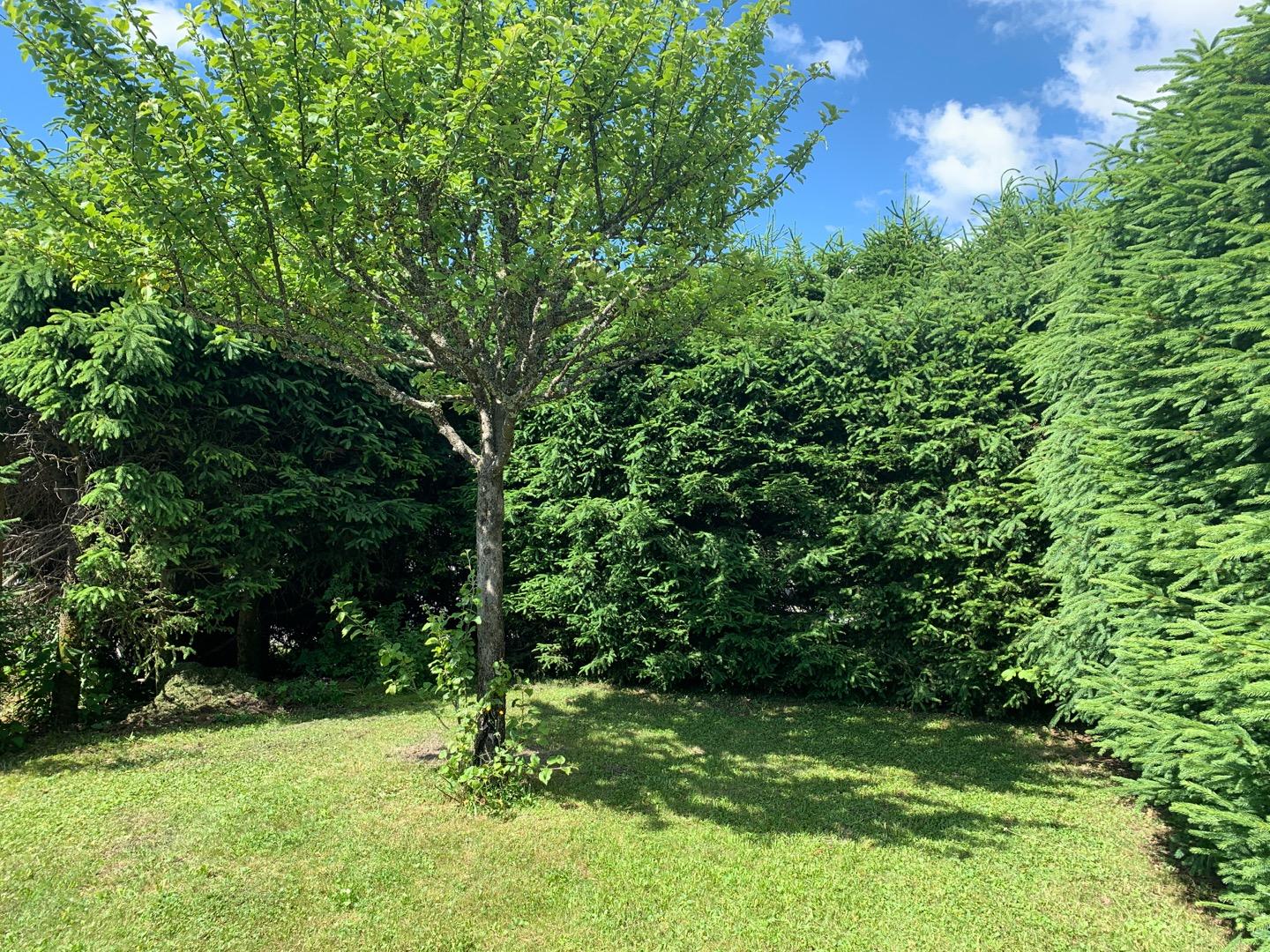 jardin
ETE