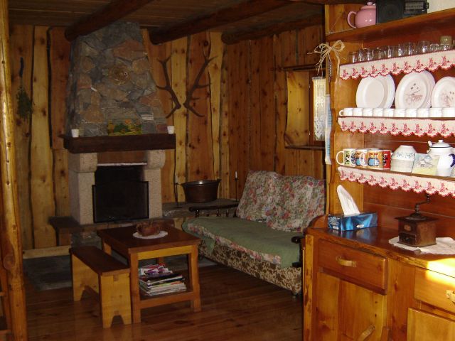 Coin détente avec cheminée, boiserie en pins cembro (arbre présent au dessus de 2000m)