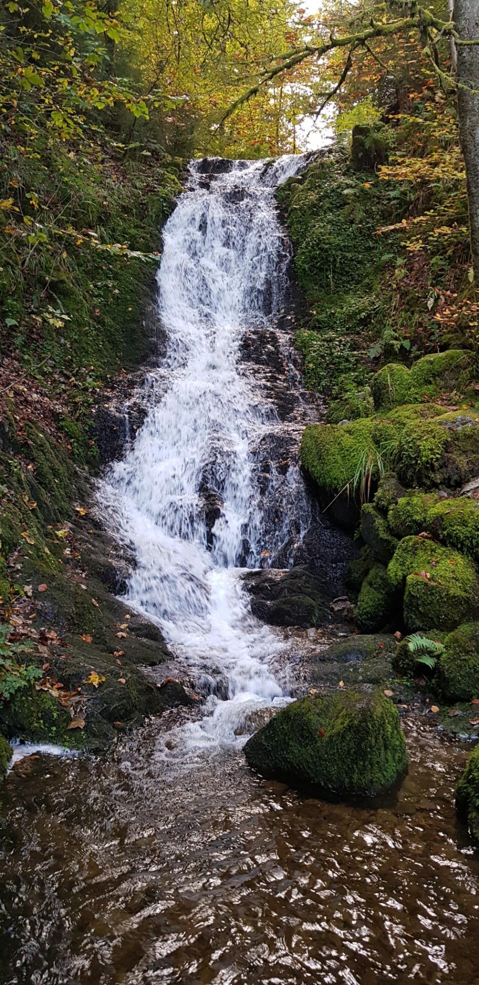 Cascade à 100m du chalet
