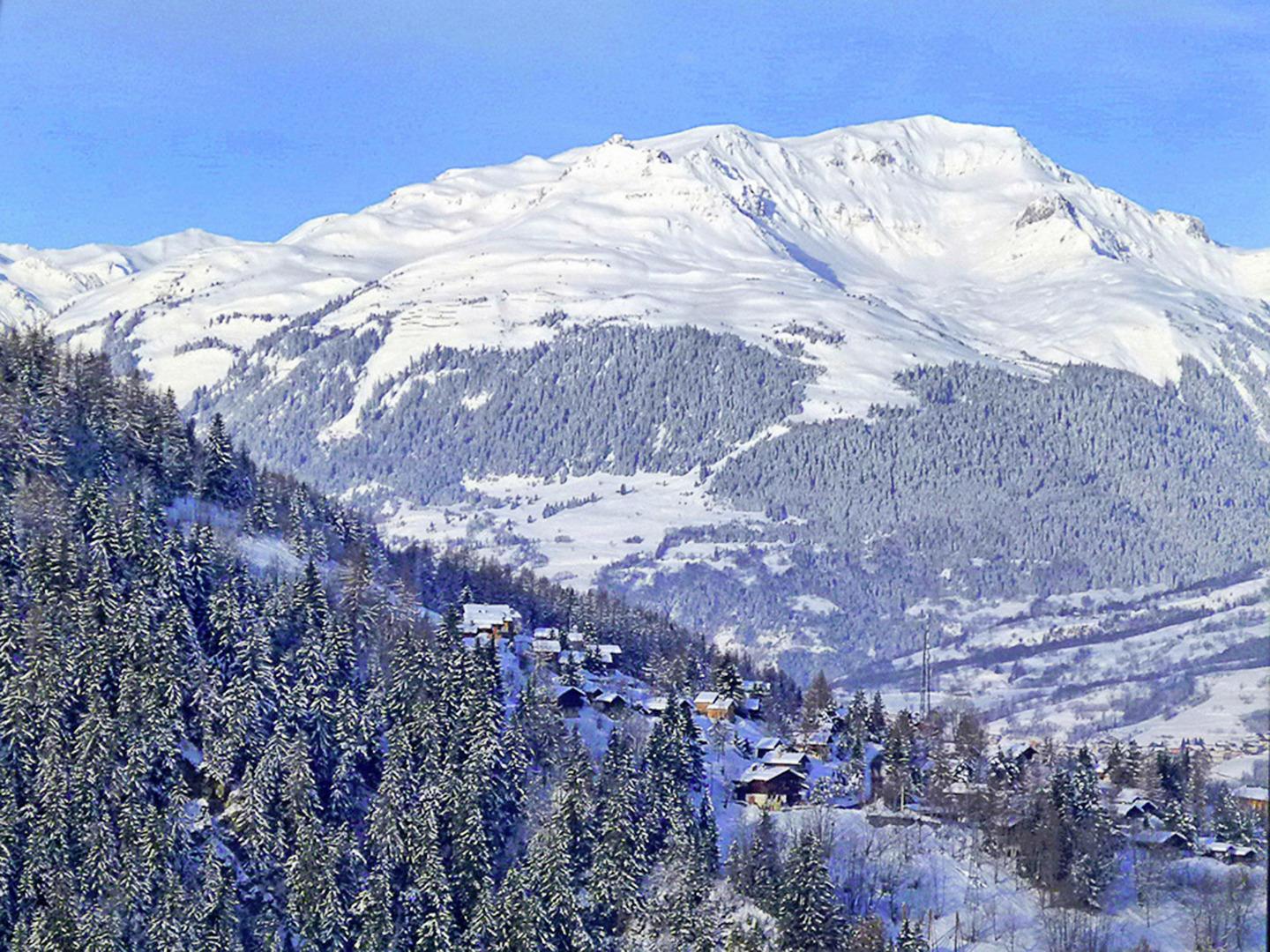 Chalet Balcon du Paradis - panorama