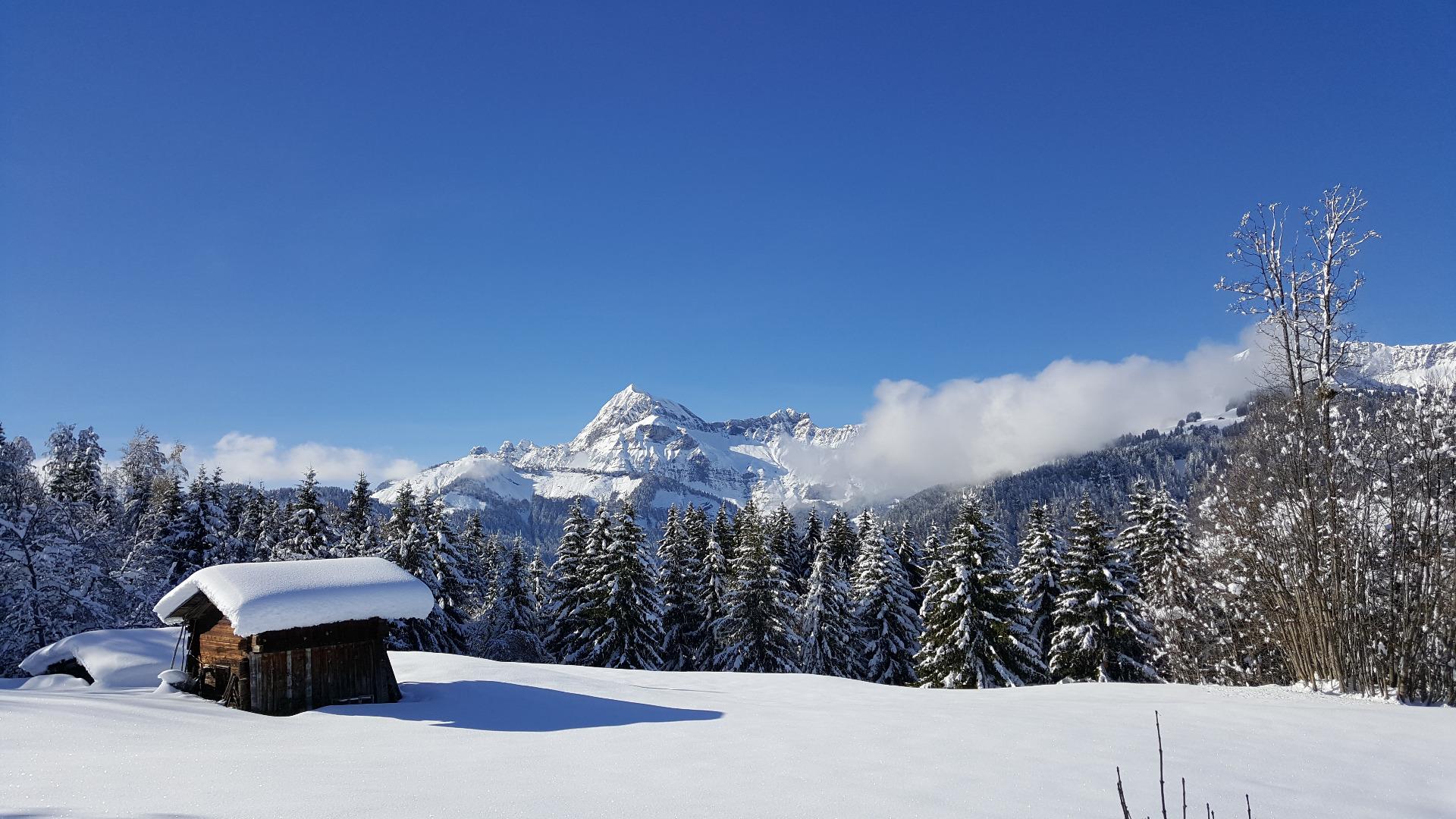 vue du chalet