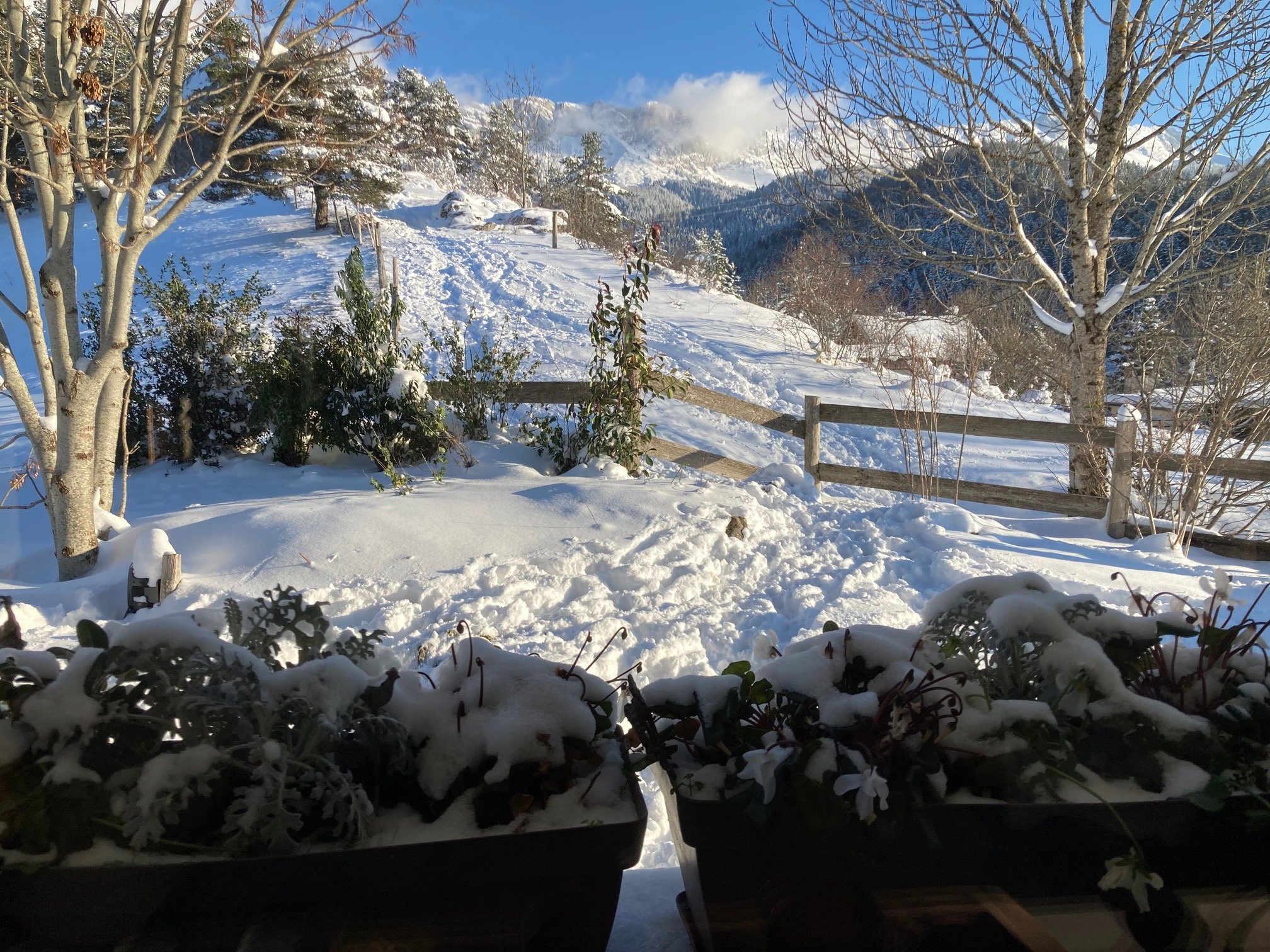 Première neige, on adore déjeuner face à cette vue magique !