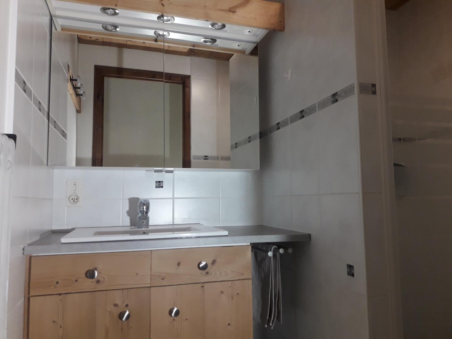 SALLE DE BAIN 1 (Une vasque et une douche à l'Italien)