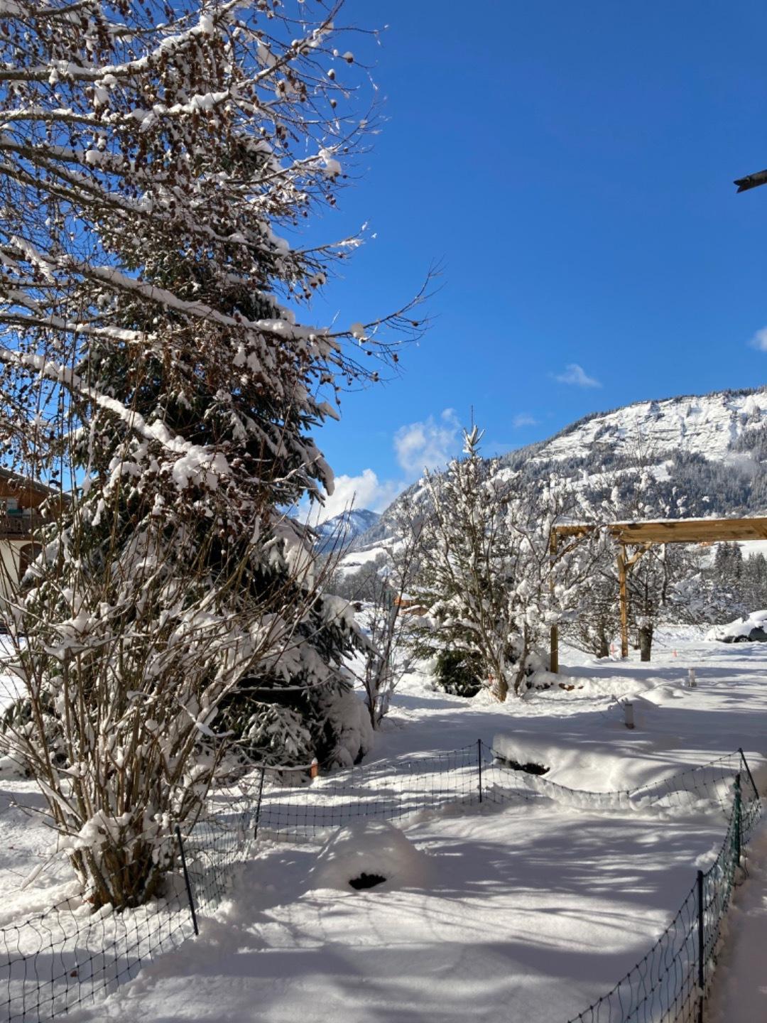 Vue coté jardin avec domaine skiable à proximité direct