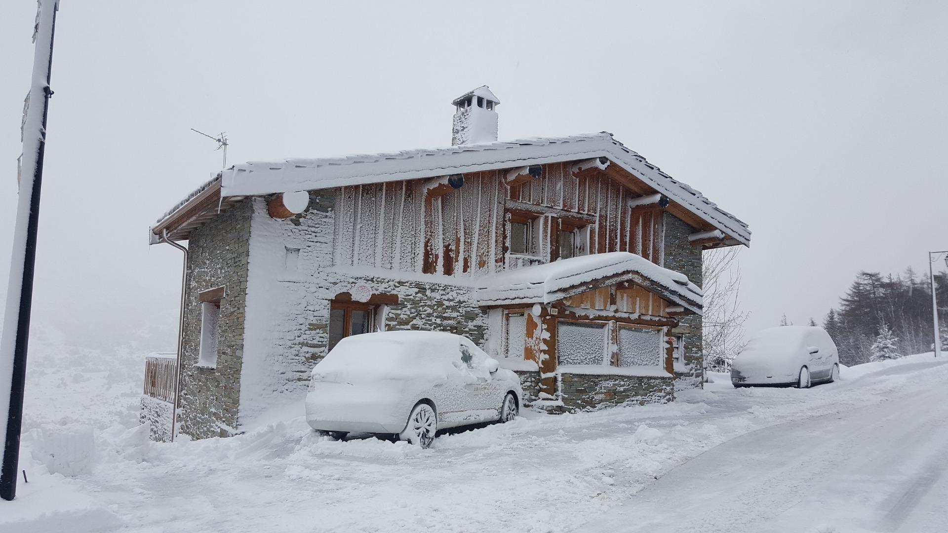 LE PIN CEMBRO La Norma