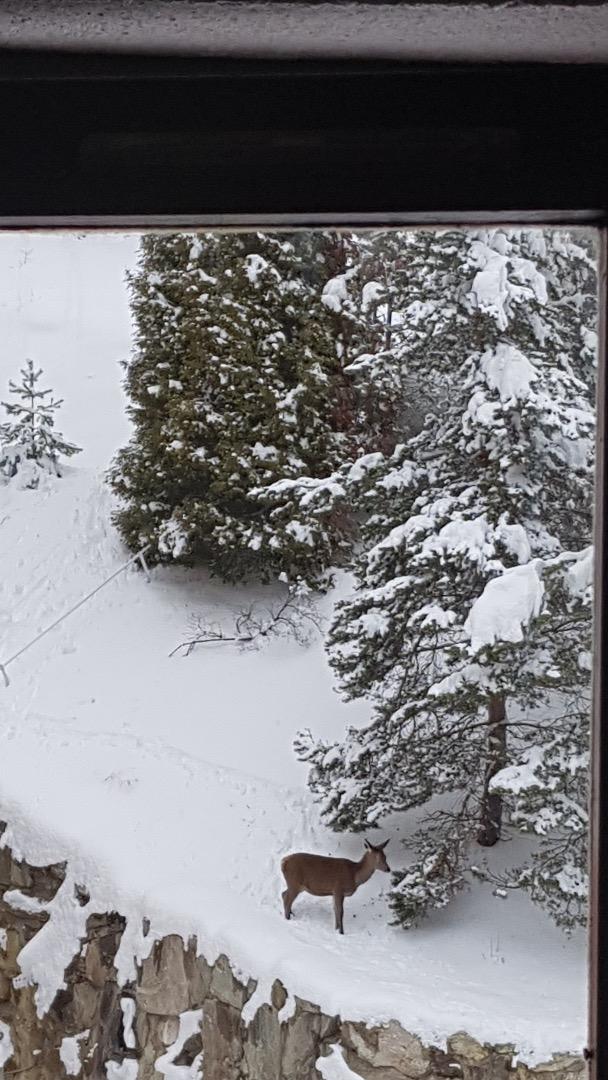Certains jours, vous pourriez être surpris en regardant par la fenêtre de la chambre double ou du Balcon.