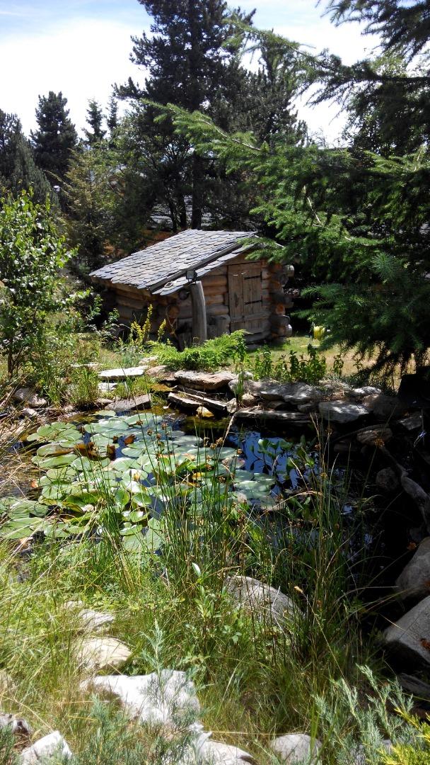 Bassin et cabane en rondin dans le jardin, accès direct à la forêt