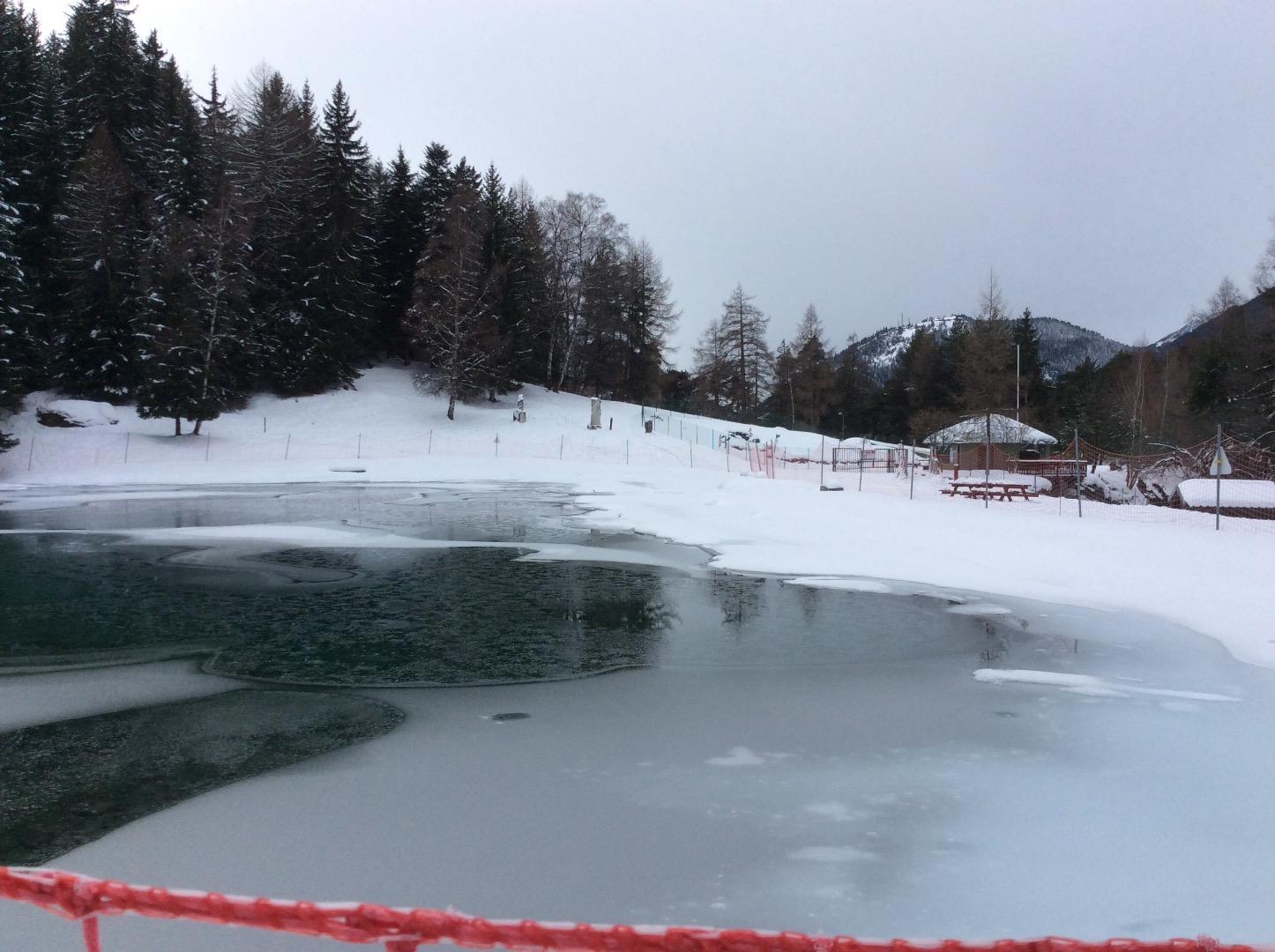 Lac dans la clairière 