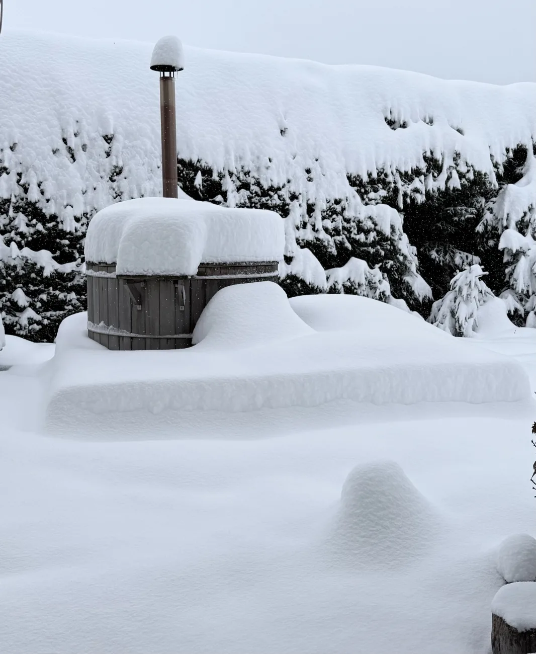Jardin en hiver