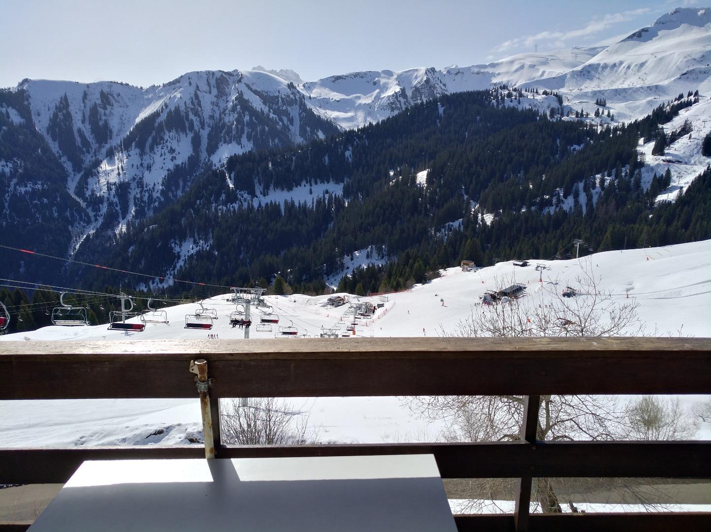 Vue sur les pistes