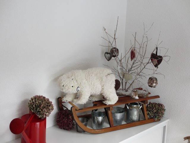 Ours polaire de passage à La Norma