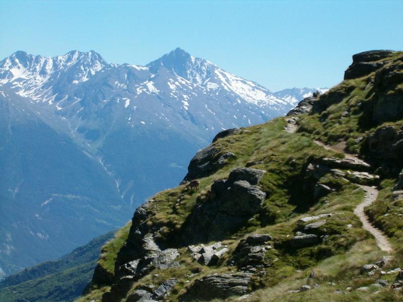 Sentier de randonnée dans le secteur du parking de Bellecombe, au coeur des glaciers de la Vanoise.